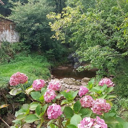 Martikotenea I & II Errazu Buitenkant foto